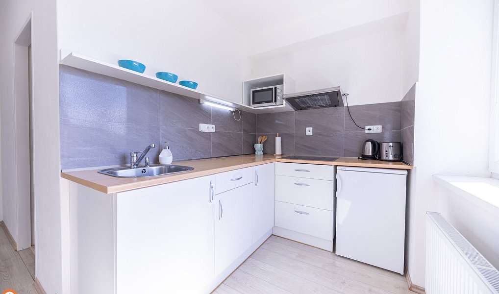 Prodej komerčního objektu (jiného typu) 30 m², Staré Město – náhled fotky 6
