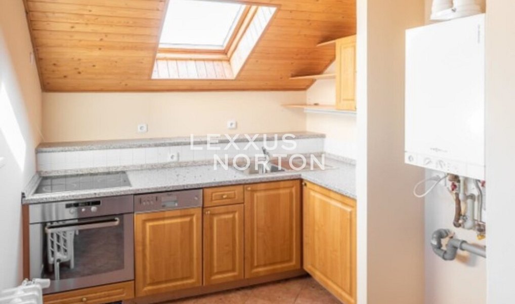 Pronájem domu 827 m² s pozemkem 8 510 m², Praha – náhled fotky 14