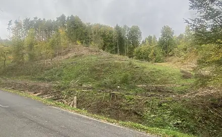 Prodej lesa 17 012 m², Český Dub, okres Liberec
