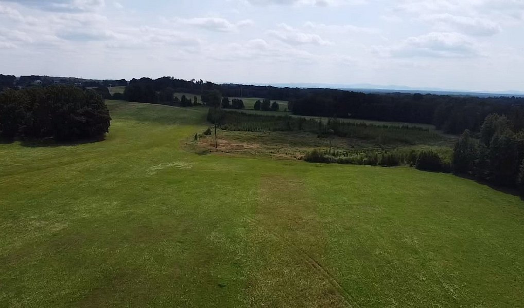 Prodej pole 130 000 m², Chlum u Třeboně – náhled fotky 16