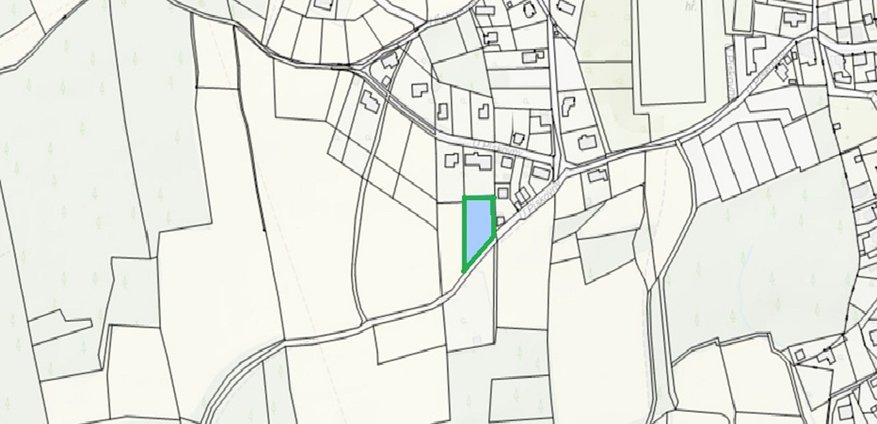 Fotka 9 z 9