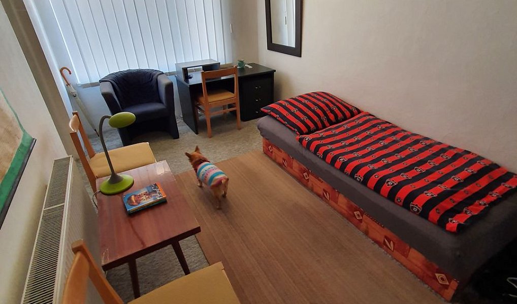 Pronájem pokoje 22 m², Brno – náhled fotky 2