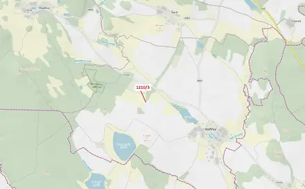 Dražba lesa 29 m², Volfířov