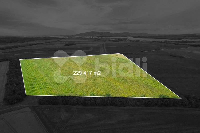 Prodej pole 232 138 m² – fotografie 5