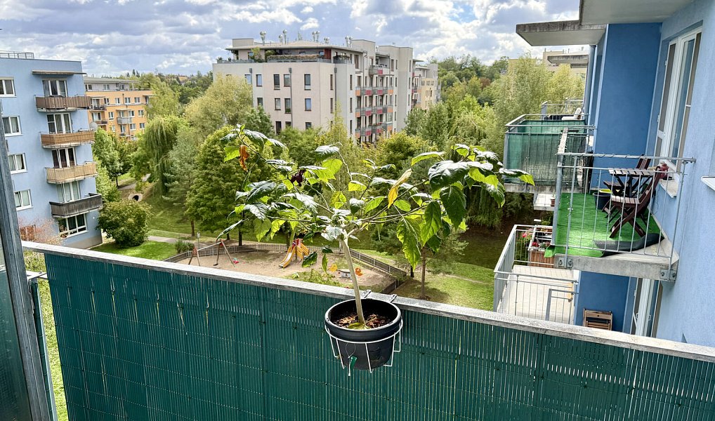 Prodej bytu 3+kk 71 m², Praha – náhled fotky 13