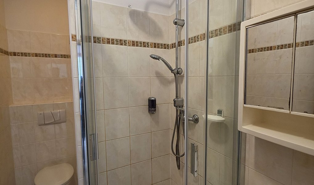 Pronájem bytu 2+kk 42 m², Plzeň – náhled fotky 10