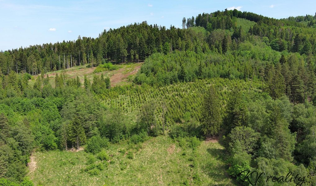 Prodej stavebního pozemku 2 493 m², Ratiboř – náhled fotky 13