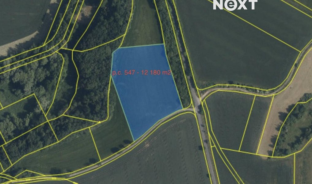 Prodej pole 46 442 m², Číčovice – náhled fotky 4
