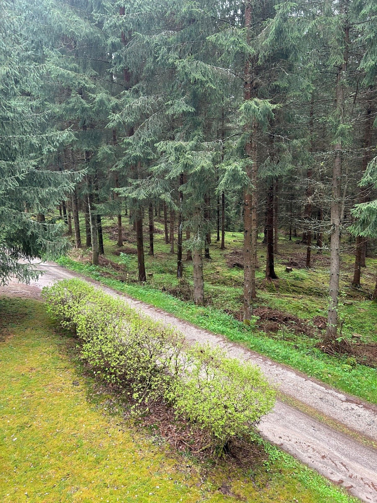 Prodej chaty/chalupy 60 m² s pozemkem 53 m² — photo 3