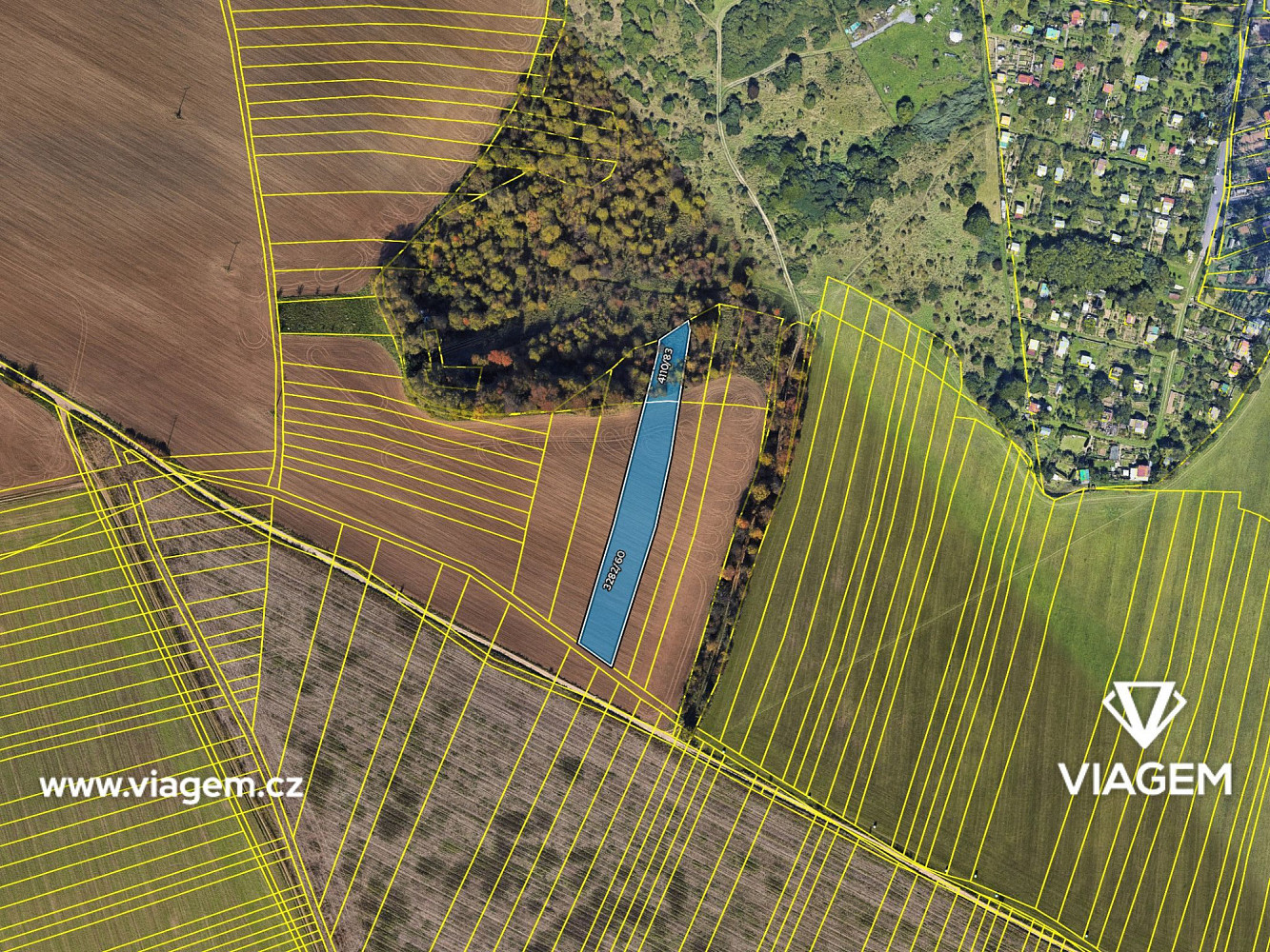 Prodej pole 1 628 m² – fotografie 4