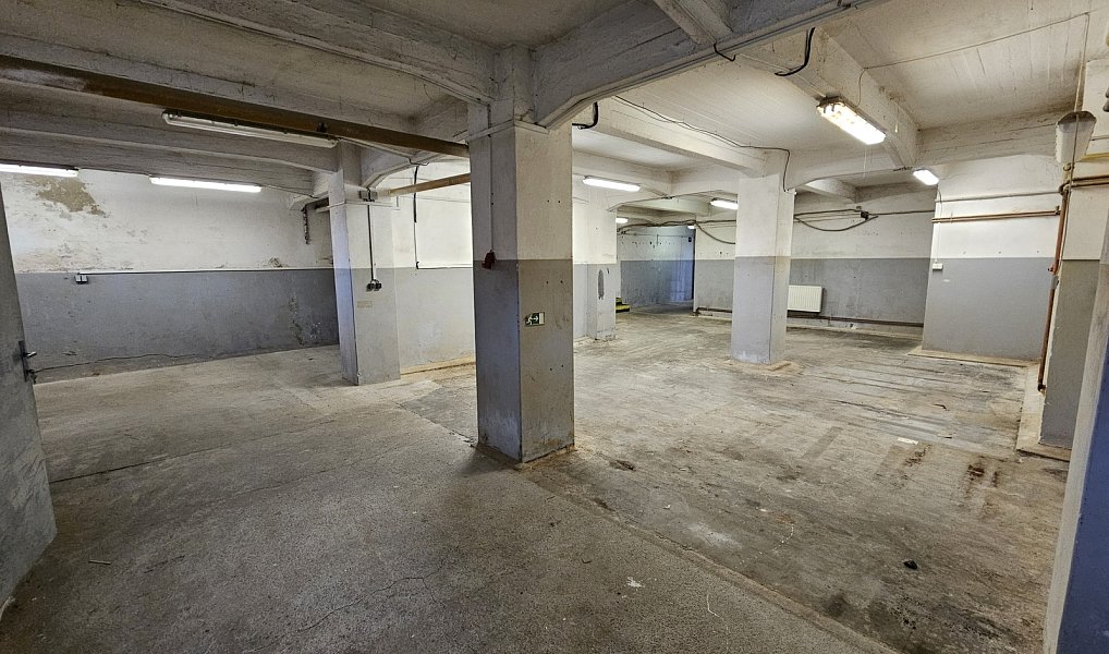 Pronájem obchodních prostor 550 m², Olomouc – náhled fotky 13