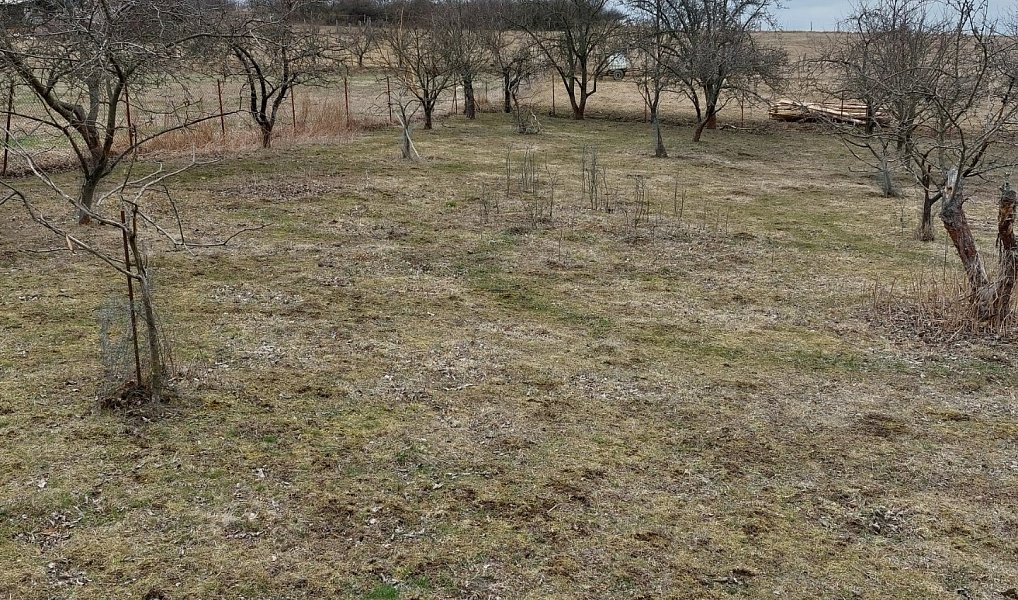 Prodej stavebního pozemku 5 184 m², Pečice – náhled fotky 13