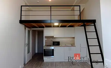 Pronájem bytu 1+kk 26 m², Palackého, Ostrava - Přívoz