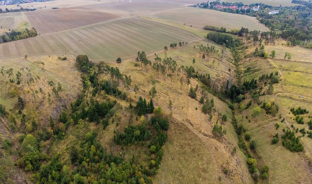 Prodej lesa 15 246 m², Vladislav – náhled fotky 18