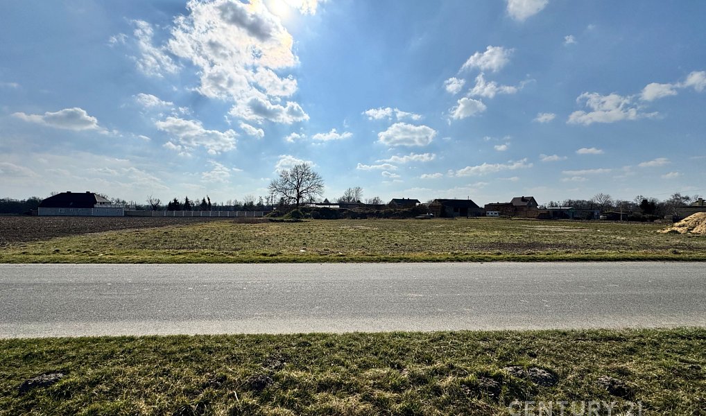 Prodej stavebního pozemku 5 000 m², Opava – náhled fotky 5