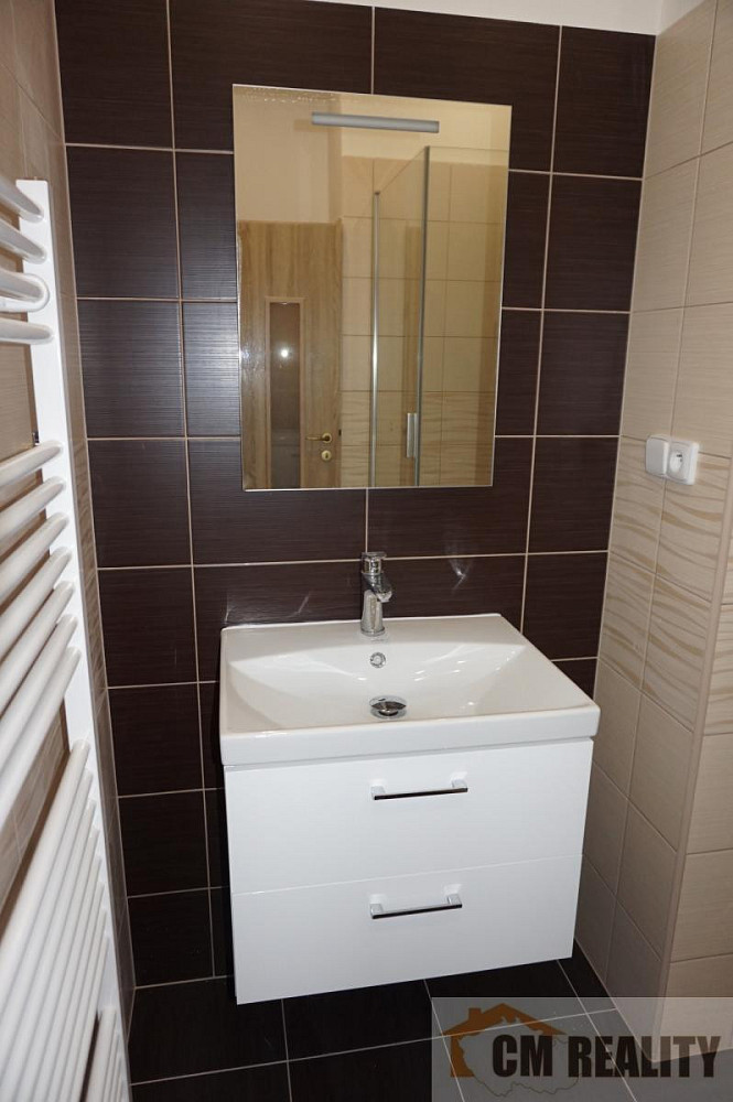 Pronájem bytu 1+1 43 m² – fotografie 5