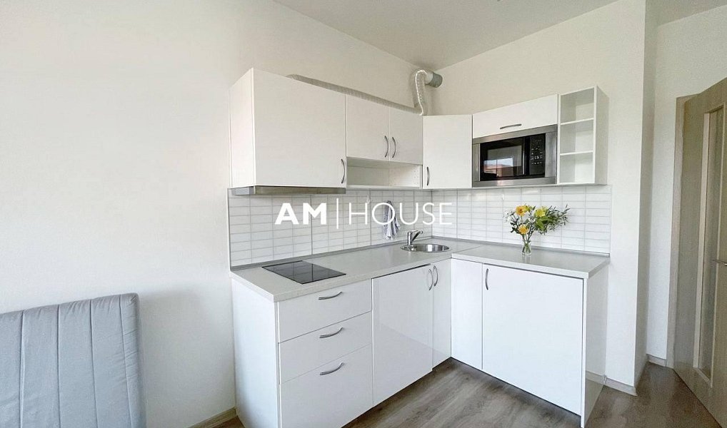Pronájem bytu 1+kk 28 m², Praha – náhled fotky 4