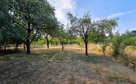 Prodej stavebního pozemku 1 199 m², Kostelec na Hané, okres Prostějov