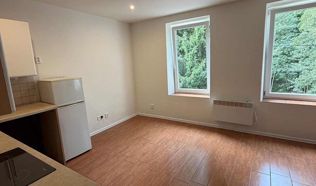 Pronájem bytu 1+kk 23 m², Trutnov – náhled fotky 6