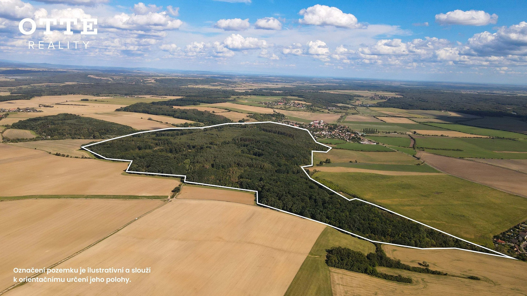 Prodej lesa 985 653 m² – fotografie 2
