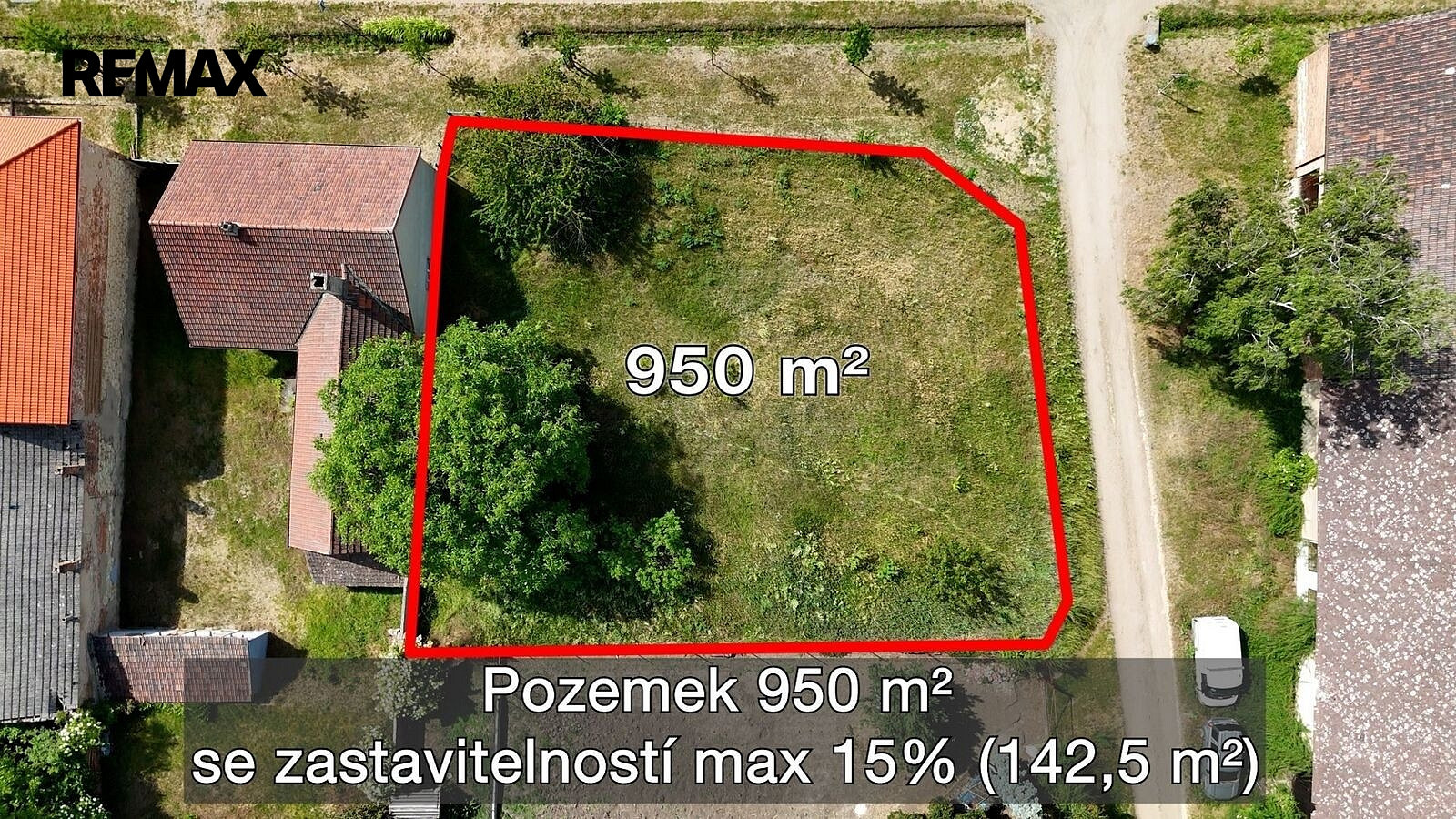 Fotka 11 z 13