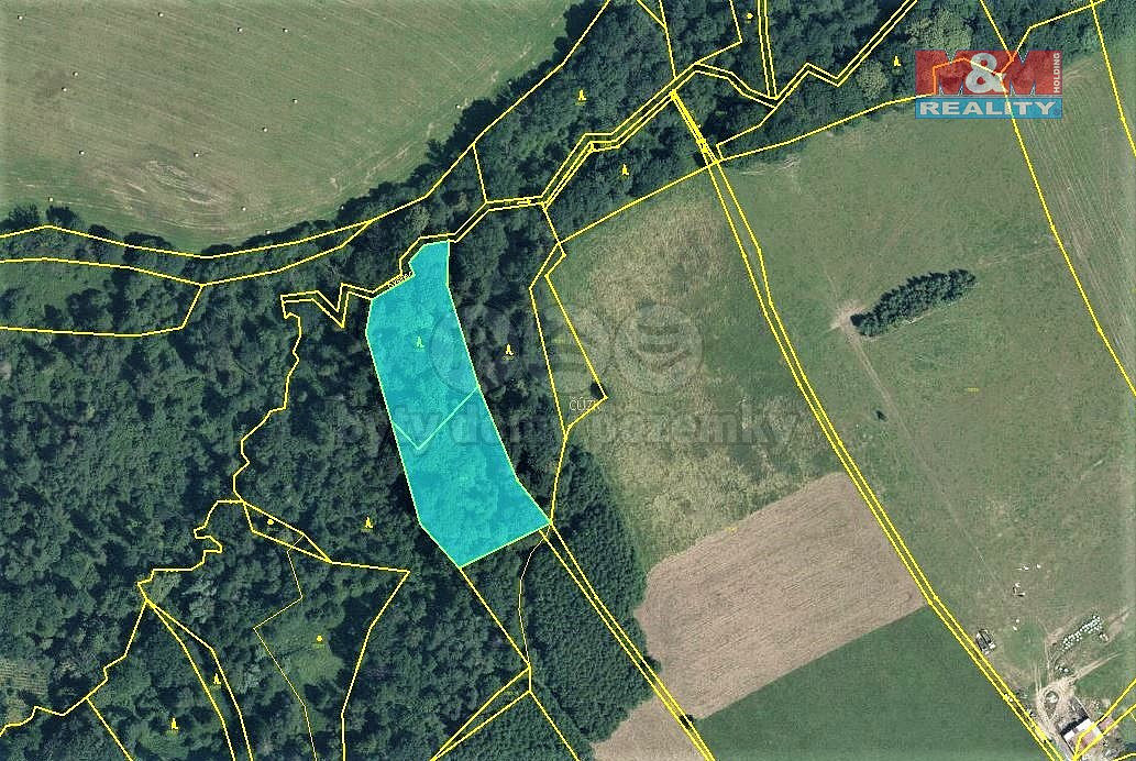 Prodej lesa 6 540 m² – fotografie 5