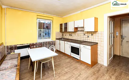 Prodej bytu 2+1 48 m², Riegerova, Cheb