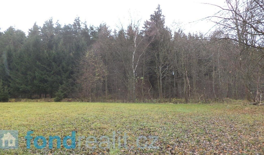 Prodej pole 10 224 m², Zdíkov – náhled fotky 4
