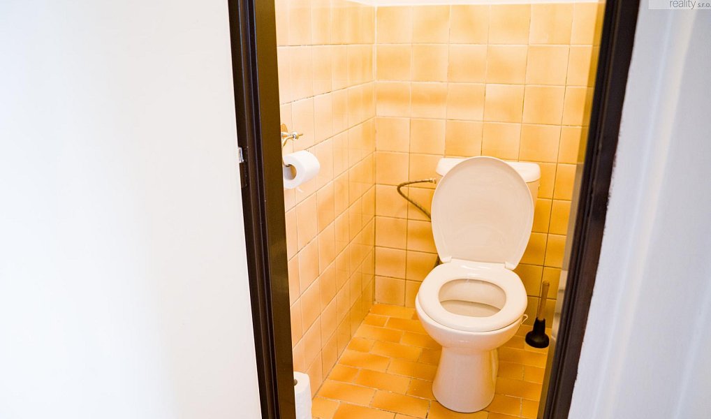 Prodej domu 291 m² s pozemkem 2 236 m², Dubí – náhled fotky 24