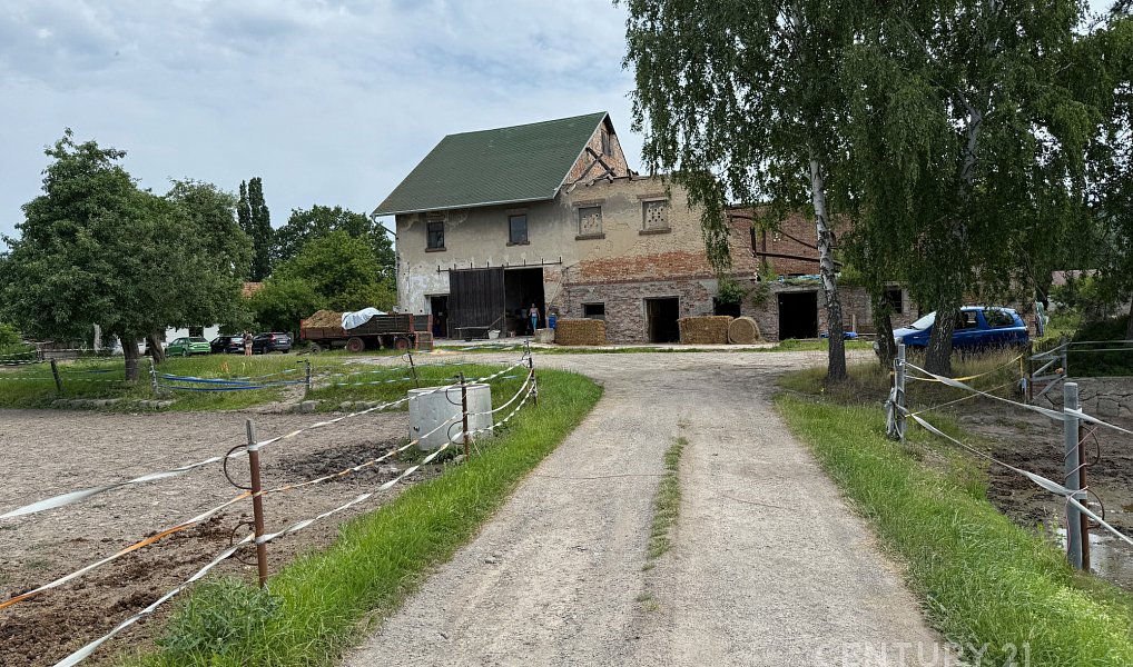 Prodej stavebního pozemku 7 311 m², Zákupy – náhled fotky 5