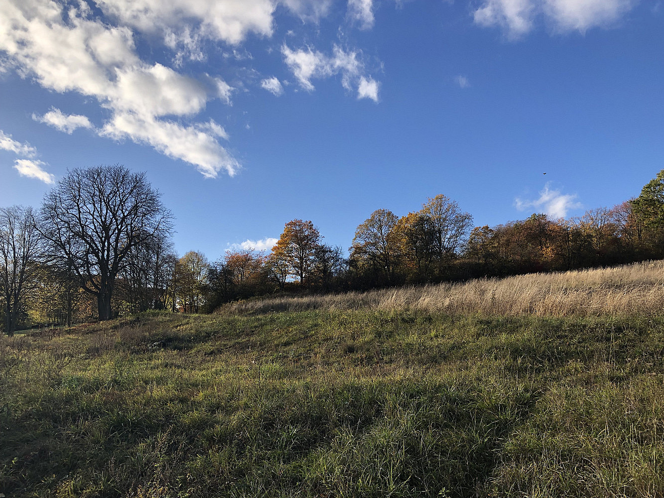 Prodej stavebního pozemku 1 445 m² – fotografie 4