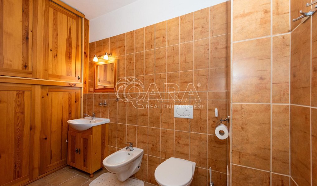Prodej bytu 2+1 55 m², Adršpach – náhled fotky 8