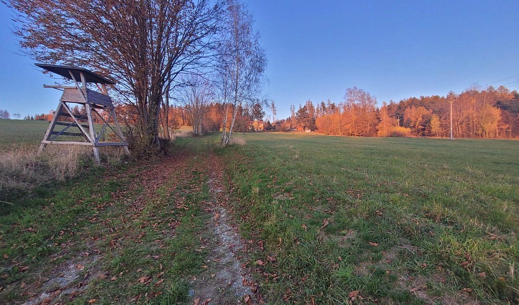 Prodej louky 6 834 m², Železný Brod – náhled fotky 12