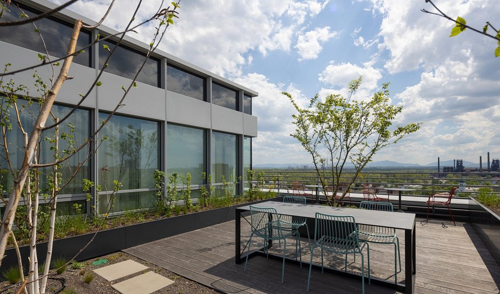 Pronájem kanceláře 1 105 m², Ostrava – náhled fotky 7
