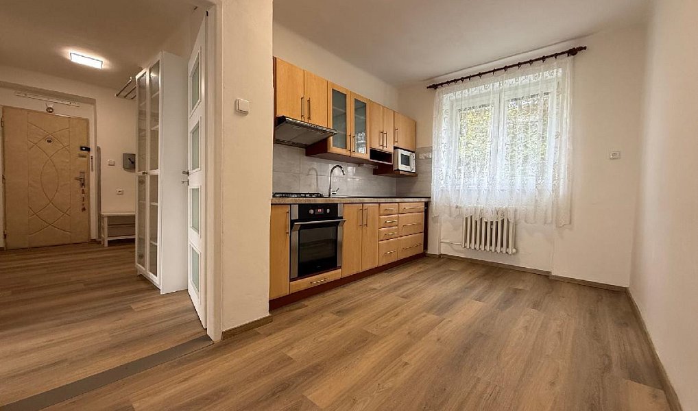 Pronájem bytu 2+1 57 m², Meziboří – náhled fotky 2