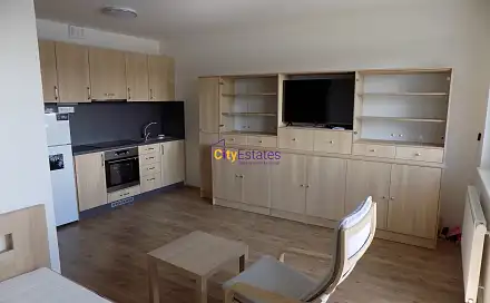 Pronájem bytu 1+kk 36 m²