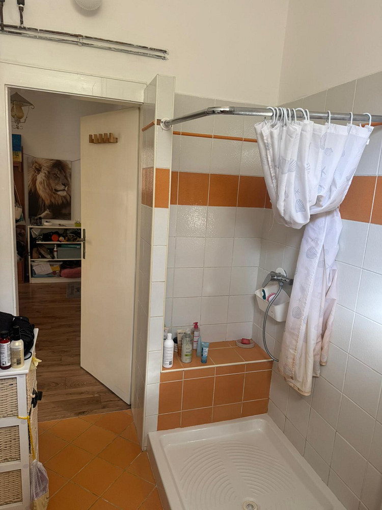 Pronájem bytu 1+1 48 m² – další