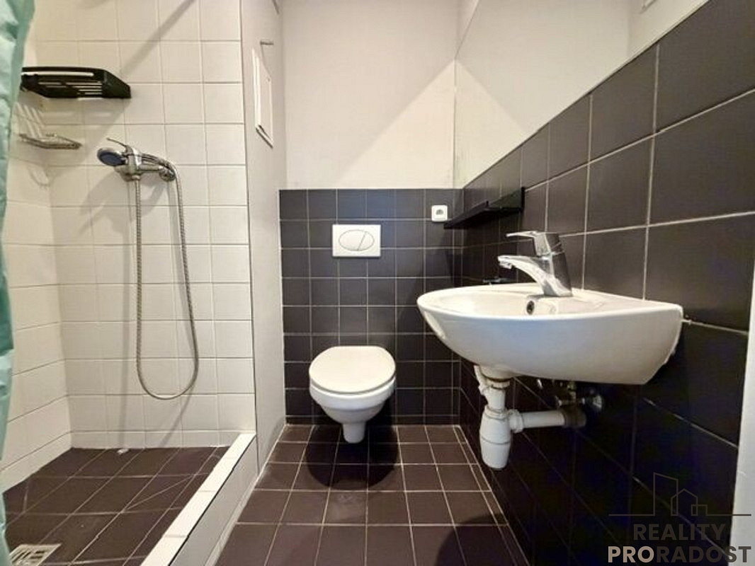 Pronájem bytu 1+kk 17 m²