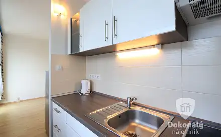 Pronájem bytu 1+kk 33 m²