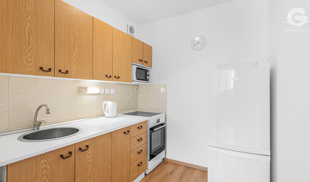 Pronájem bytu 2+kk 45 m², Praha – náhled fotky 5