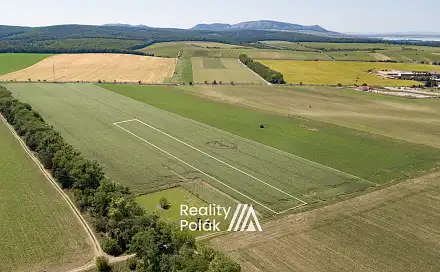 Prodej pole 20 243 m², Bulhary, okres Břeclav