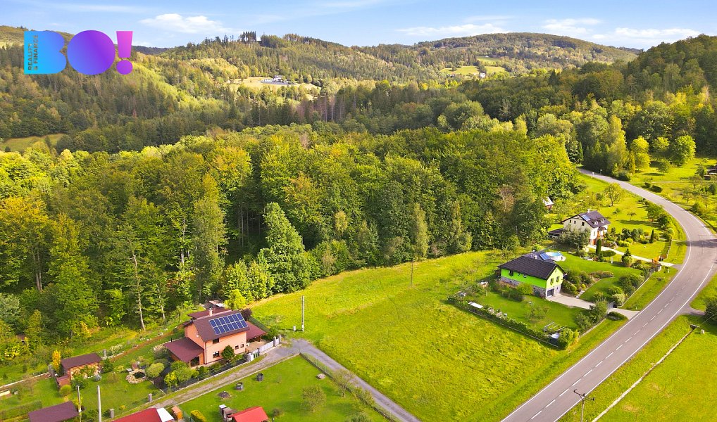 Prodej stavebního pozemku 2 425 m², Bystřice – náhled fotky 6