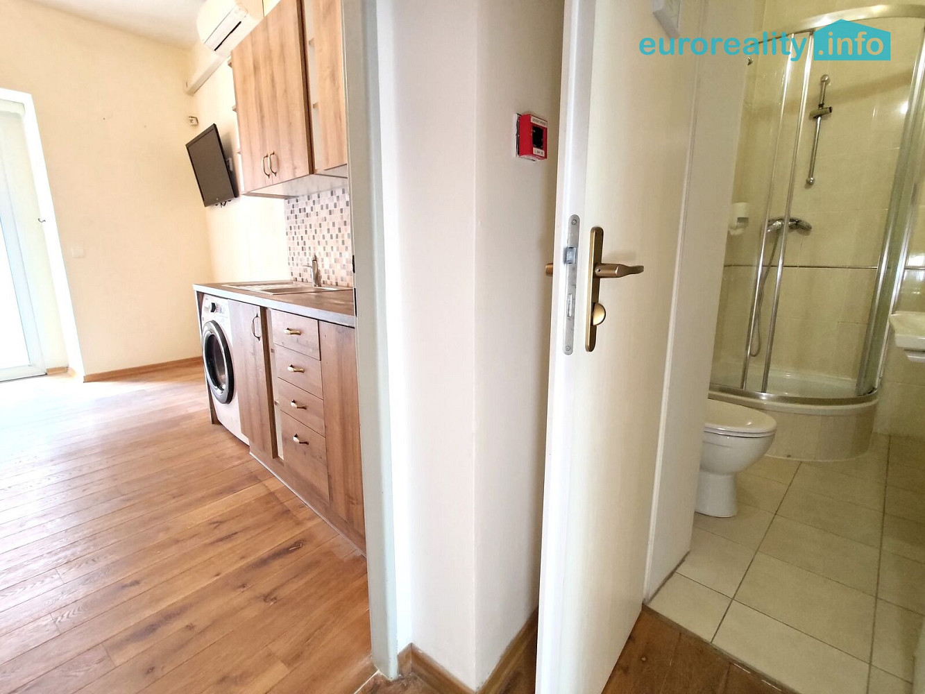 Pronájem bytu 4+1 110 m² - Widok 5