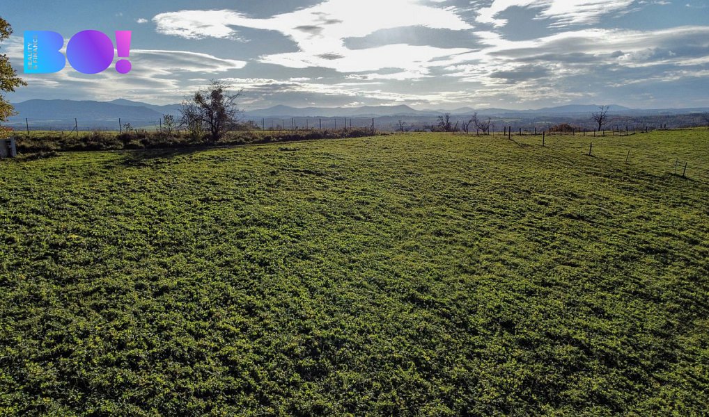 Prodej stavebního pozemku 2 178 m², Těrlicko – náhled fotky 5