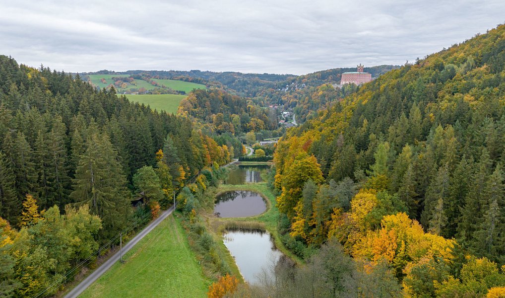 Prodej vodní plochy 11 946 m², Mírov – náhled fotky 5