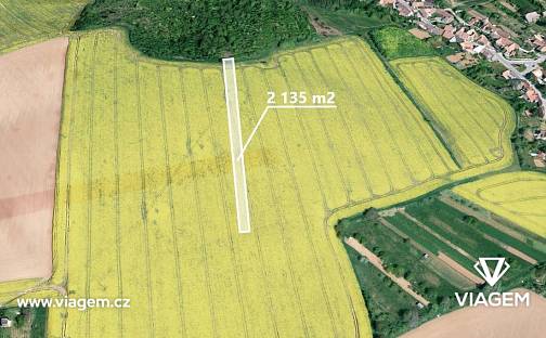 Prodej pole 1 156 m², Labuty, okres Hodonín