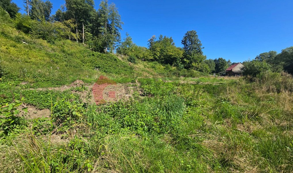 Prodej stavebního pozemku 3 055 m², Zlaté Hory – náhled fotky 2