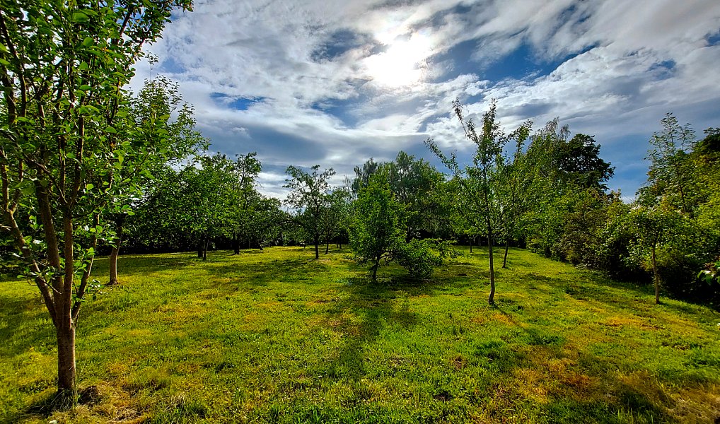 Prodej domu 400 m² s pozemkem 4 700 m², Golčův Jeníkov – náhled fotky 36