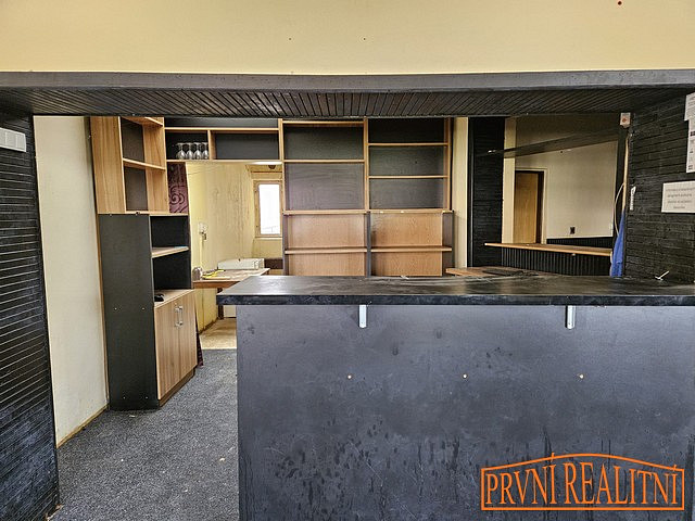 Prodej obchodních prostor 263 m² – fotografie 3