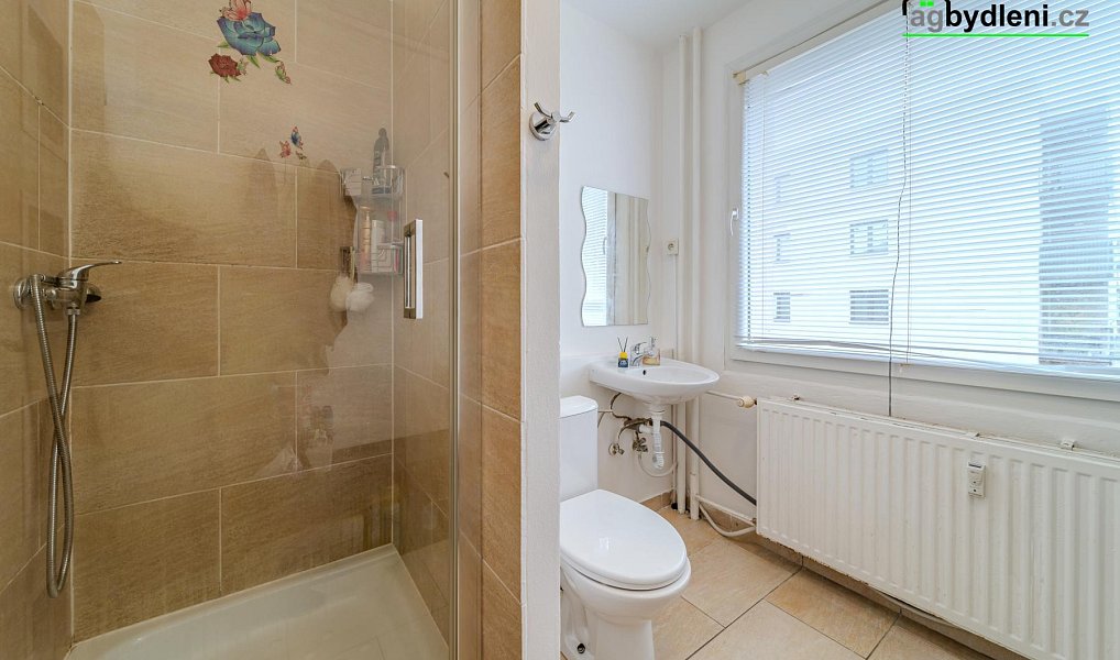 Prodej bytu 1+1 32 m², Klatovy – náhled fotky 6
